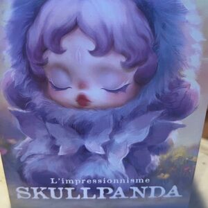 Skullpanda Blind Box